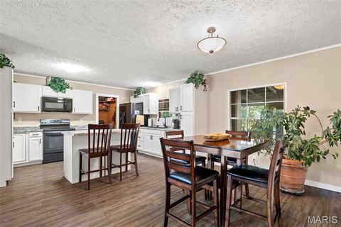 Tiny photo for 14725 Violet Drive, Lynchburg, MO 65543 (MLS # 25066629)
