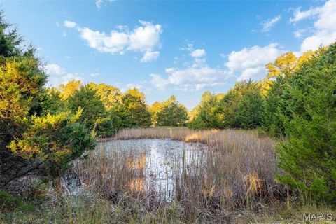 Tiny photo for 14725 Violet Drive, Lynchburg, MO 65543 (MLS # 25066629)