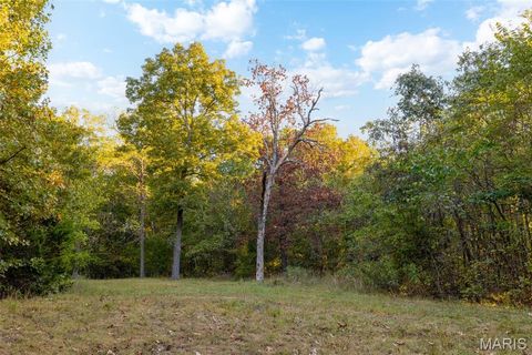 Tiny photo for 14725 Violet Drive, Lynchburg, MO 65543 (MLS # 25066629)