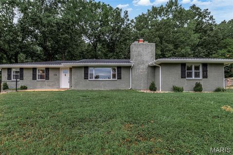 Tiny photo for 1336 Pond Road, Wildwood, MO 63038 (MLS # 25069043)