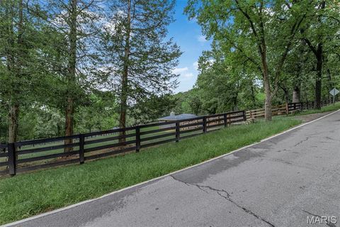 Tiny photo for 1336 Pond Road, Wildwood, MO 63038 (MLS # 25069043)