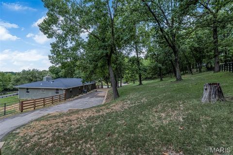 Tiny photo for 1336 Pond Road, Wildwood, MO 63038 (MLS # 25069043)