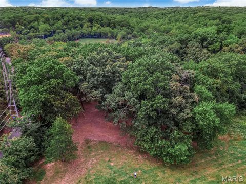 Tiny photo for 1336 Pond Road, Wildwood, MO 63038 (MLS # 25069043)