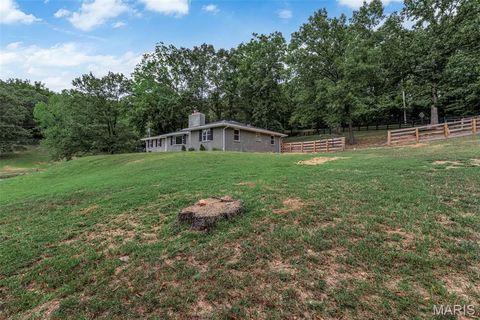 Tiny photo for 1336 Pond Road, Wildwood, MO 63038 (MLS # 25069043)