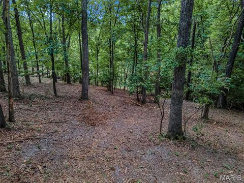 Tiny photo for 1336 Pond Road, Wildwood, MO 63038 (MLS # 25069043)