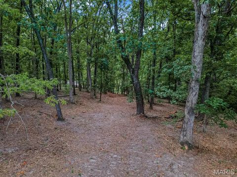 Tiny photo for 1336 Pond Road, Wildwood, MO 63038 (MLS # 25069043)