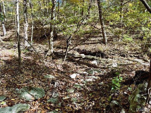Tiny photo for 0 Cedar Circle Lane, Unincorporated, MO 63377 (MLS # 25071955)