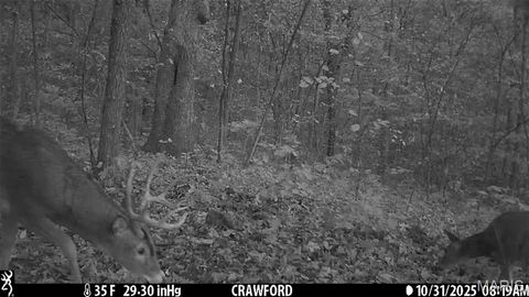 Tiny photo for 0 Cedar Circle Lane, Unincorporated, MO 63377 (MLS # 25071955)