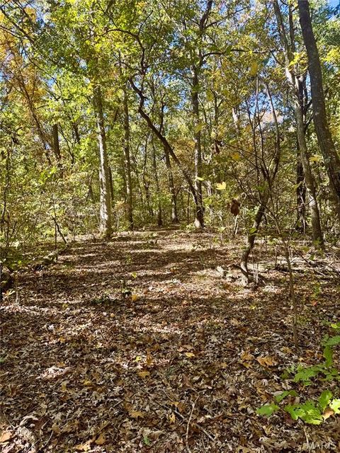 Tiny photo for 0 Cedar Circle Lane, Unincorporated, MO 63377 (MLS # 25071955)