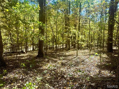 Tiny photo for 0 Cedar Circle Lane, Unincorporated, MO 63377 (MLS # 25071955)