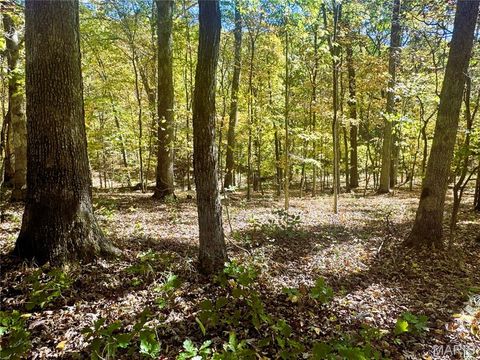 Tiny photo for 0 Cedar Circle Lane, Unincorporated, MO 63377 (MLS # 25071955)