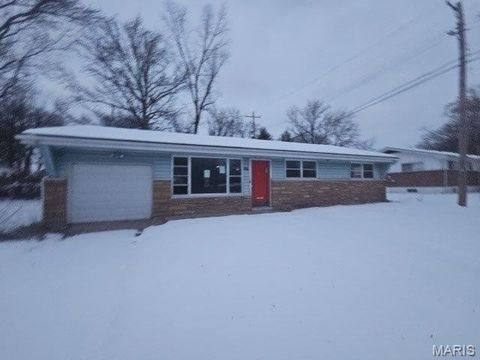 Photo of 9967 Lanier Drive, St Louis, MO 63136 (MLS # 26023335)