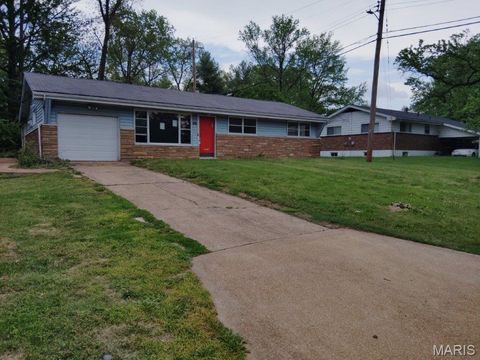 Photo of 9967 Lanier Drive, St Louis, MO 63136 (MLS # 26023335)