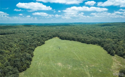 Tiny photo for 171 Czar Tower Road, Steelville, MO 65565 (MLS # 26041915)