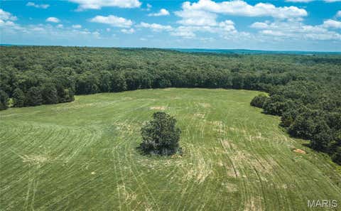 Tiny photo for 171 Czar Tower Road, Steelville, MO 65565 (MLS # 26041915)