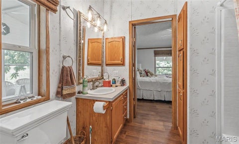 Tiny photo for 171 Czar Tower Road, Steelville, MO 65565 (MLS # 26041915)