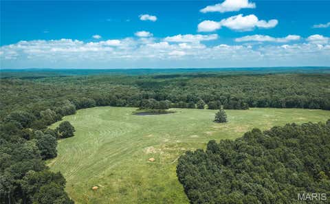 Tiny photo for 171 Czar Tower Road, Steelville, MO 65565 (MLS # 26041915)