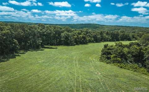 Tiny photo for 171 Czar Tower Road, Steelville, MO 65565 (MLS # 26041915)