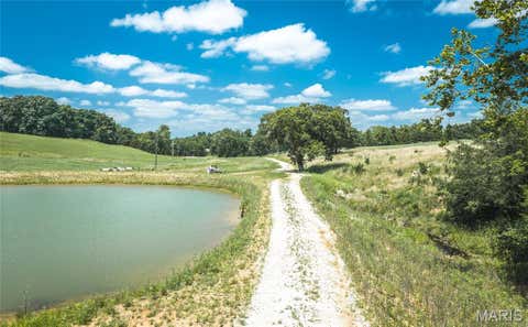 Tiny photo for 171 Czar Tower Road, Steelville, MO 65565 (MLS # 26041915)