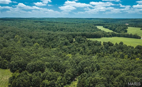 Tiny photo for 171 Czar Tower Road, Steelville, MO 65565 (MLS # 26041915)