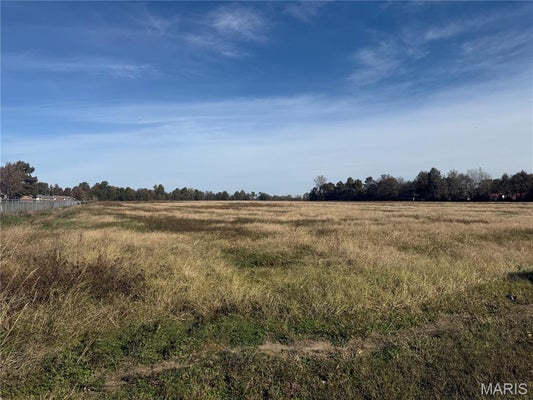 W WASHINGTON ST, HAYTI, MO 63851 - Image a0defb959cdab7690fdeeb8143272a58/87638093