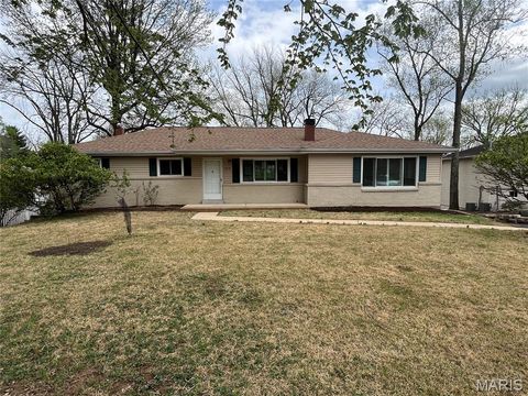Photo of 512 Bryan Avenue, Kirkwood, MO 63122 (MLS # 26026742)