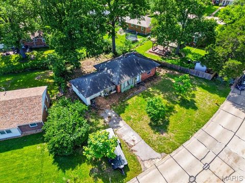 Photo of 711 Chopin Drive, Kirkwood, MO 63122 (MLS # 26033702)