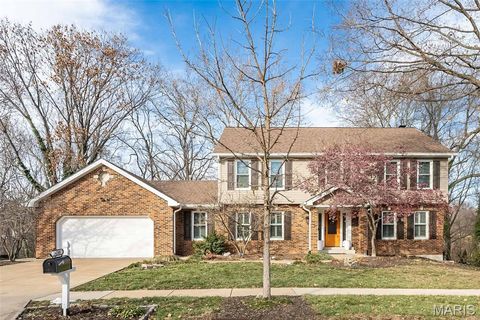 Photo of 14245 Cypress Hill Drive, Chesterfield, MO 63017 (MLS # 25080582)