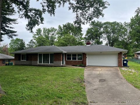 Photo of 1739 June Drive, St Louis, MO 63138 (MLS # 26032010)