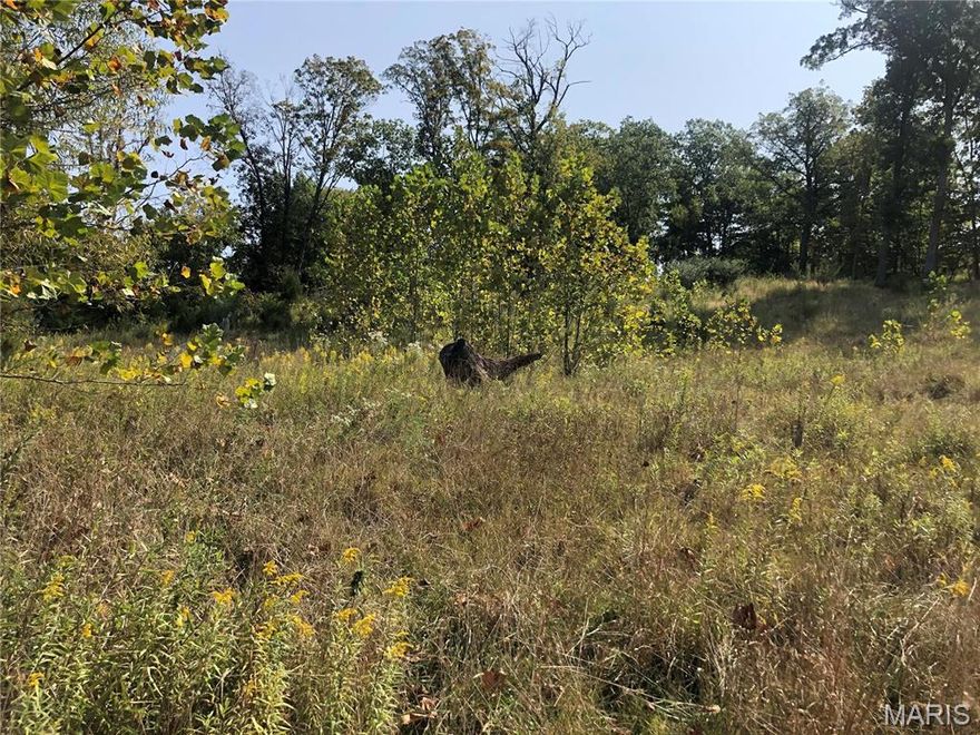 With two road fronts and all the necessary utilities already on site, this building lot is the perfect canvas for your dream home. You'll have the freedom to choose which road you'd like to face and enjoy the convenience of public water and sewer. Whether you're looking to build a cozy cottage or a spacious family home, this lot is a fantastic opportunity to make your vision a reality. This sale includes lots  37, 38, 39. Owner willing to sell individual lots at $10,000 each or buy all 3 for listing price.