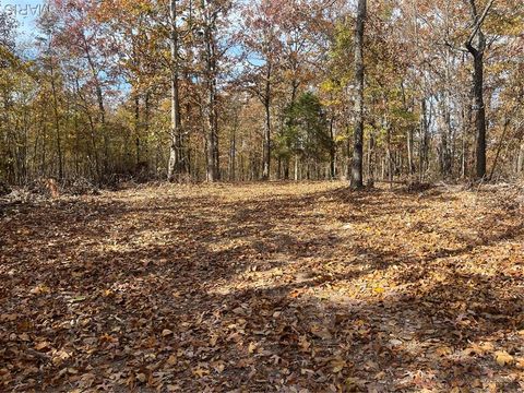 0 Forest Road 3123 Williamsville MO 63967