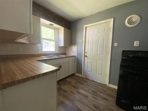 Tiny photo for 10184 Winkler Drive, St Louis, MO 63136 (MLS # 26030216)