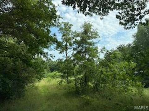 Tiny photo for 40 Brush Creek Road, New London, MO 63459 (MLS # 25049591)