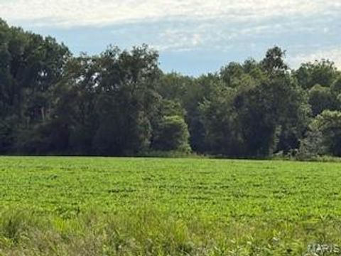 Photo of 40 Brush Creek Road, New London, MO 63459 (MLS # 25049591)