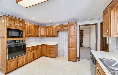 Tiny photo for 184 Blue Goose Road, Troy, MO 63379 (MLS # 25064794)