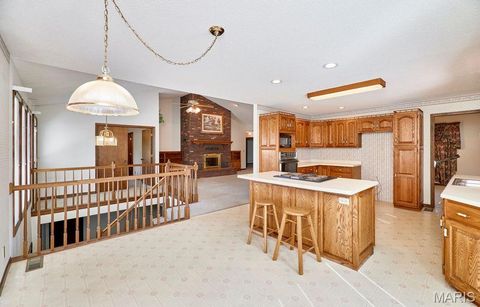 Tiny photo for 184 Blue Goose Road, Troy, MO 63379 (MLS # 25064794)