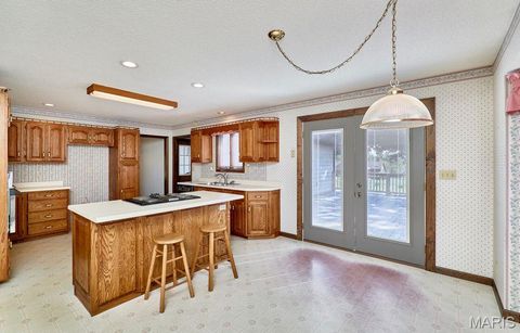 Tiny photo for 184 Blue Goose Road, Troy, MO 63379 (MLS # 25064794)