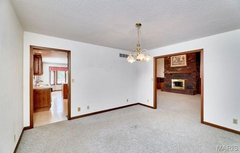 Tiny photo for 184 Blue Goose Road, Troy, MO 63379 (MLS # 25064794)