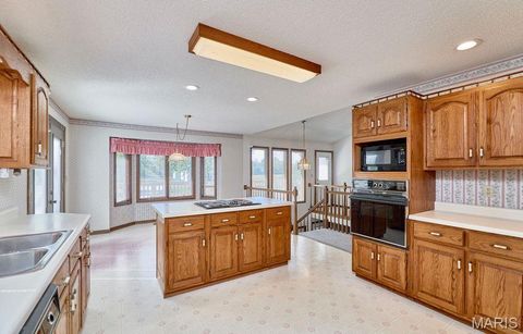 Tiny photo for 184 Blue Goose Road, Troy, MO 63379 (MLS # 25064794)