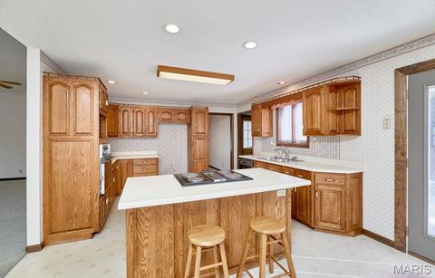 Tiny photo for 184 Blue Goose Road, Troy, MO 63379 (MLS # 25064794)