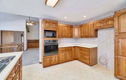 Tiny photo for 184 Blue Goose Road, Troy, MO 63379 (MLS # 25064794)