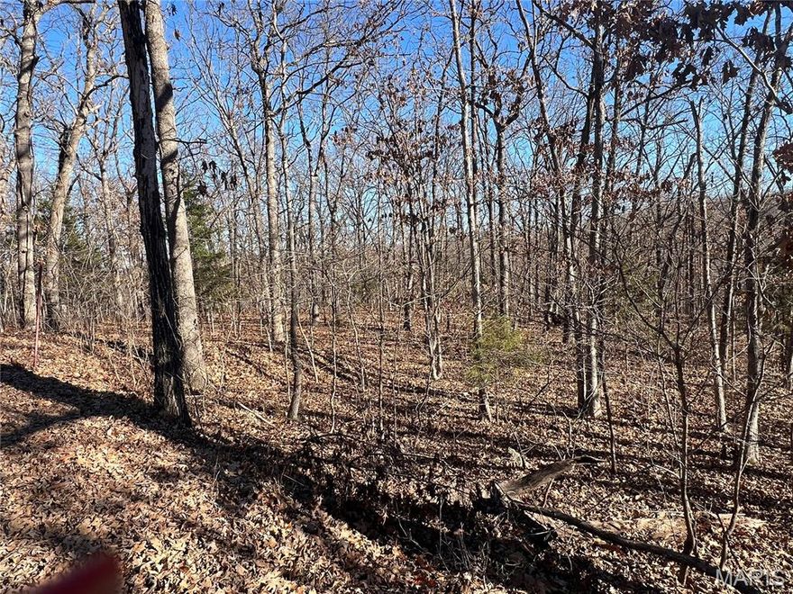 Searching for a nice property to build that new home, close to Lake of the Ozarks, then this could be the right one!  No restrictions!!
