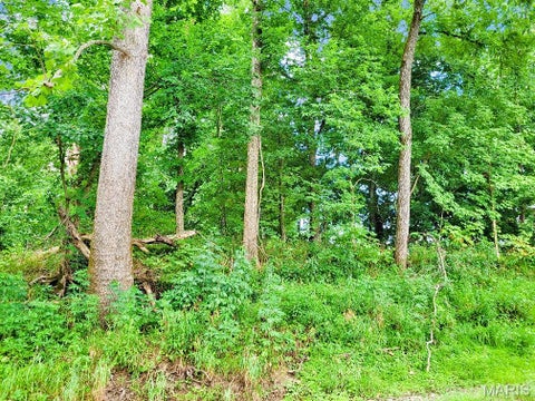 Tiny photo for 225 Valley View (Lot 29) Drive, Hawk Point, MO 63349 (MLS # 26049813)