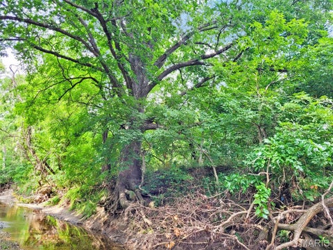 Tiny photo for 225 Valley View (Lot 29) Drive, Hawk Point, MO 63349 (MLS # 26049813)
