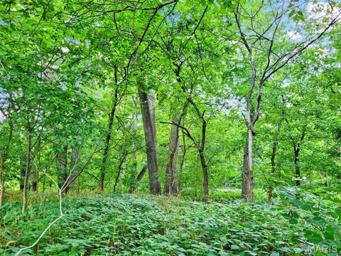 Tiny photo for 225 Valley View (Lot 29) Drive, Hawk Point, MO 63349 (MLS # 26049813)
