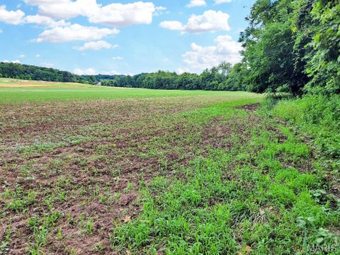 Tiny photo for 225 Valley View (Lot 29) Drive, Hawk Point, MO 63349 (MLS # 26049813)