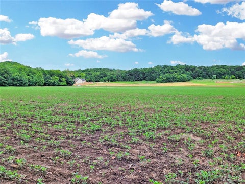 Tiny photo for 225 Valley View (Lot 29) Drive, Hawk Point, MO 63349 (MLS # 26049813)
