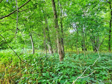 Tiny photo for 225 Valley View (Lot 29) Drive, Hawk Point, MO 63349 (MLS # 26049813)
