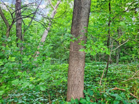 Tiny photo for 225 Valley View (Lot 29) Drive, Hawk Point, MO 63349 (MLS # 26049813)
