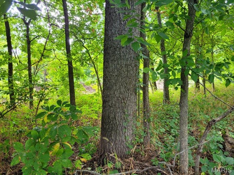 Tiny photo for 225 Valley View (Lot 29) Drive, Hawk Point, MO 63349 (MLS # 26049813)